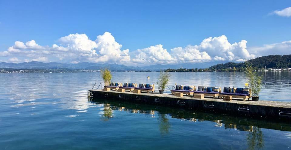 Lake View Private Studio Richterswil Dış mekan fotoğraf